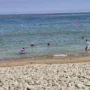 카페모이 이미지