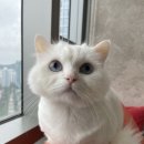 마린파크동물병원 네이버블로그
