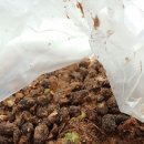 찬물래기떡방앗간 이미지