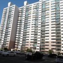 하단동118 이미지