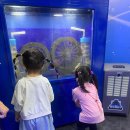 자연동산어린이집 이미지