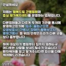 드림간병인협회 이미지
