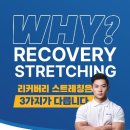 리커버리 스트레칭 이미지
