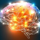 한림국제대학원대학교 이미지