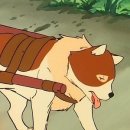 땡벌딜리버리