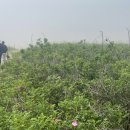 서화수산 이미지