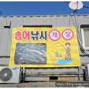 금곡낚시터 | [출조후기] [송어] 2019. 12. 8 금곡낚시터