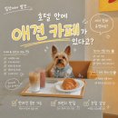 럭셔리하개 네이버블로그