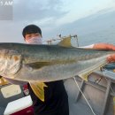 송포민박 이미지