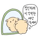 명암1길 | 휘뚜루마루뚜 흘러가는 일상