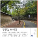 신아교통(주) | 가을 외국인과 걷기 좋은 길 정동길