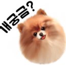 푸르미네 수제간식 이미지