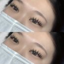 도아래쉬(Do.A lash) | 맛집] 대구 마스카라래쉬 잘하는곳 & 동성로 마스카라...추천..! Daegu Lash Extensions with a Mascara...