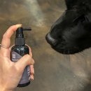 (주)유카 | 강아지 치석•입냄새제거 치약 추천! 무지조타 리얼 사용 후기 🐶