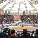 청도소싸움경기장 이미지