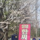 일영솔밭 | 경기도 워크샵 장소로 괜찮았던 일영유원지 맛집