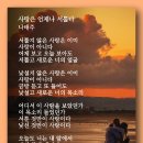 사랑은 언제나 서툴다 - 나태주 이미지