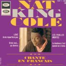 Nat King Cole-Je ne repartirai pas(1965) 이미지