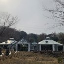 219 | 남양주 식물원카페 비루개 아이와 함께 가기 좋은 대형카페 내돈내산 방문후기