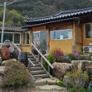 광주동농장 Daum카페