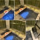 소풍앤리조트 | 제주 엠버퓨어힐 신상 호텔 앤 리조트 숙소 호캉스 후기, 이용 팁