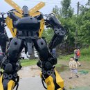 안면도쥬라기박물관 이미지