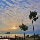 농업기술센터 농업기술과 화장실 이미지