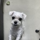 (주)쿨펫 이미지