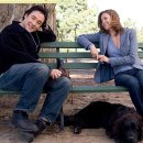 러브독스 이미지