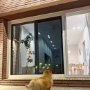 여차리399펜션 | 강화도펜션 프라이빗한 여차리399