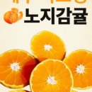 가득청과 - 달서구 성지로14길 13 | 가득청과