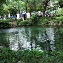 황지연못 이미지