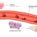 메이크주