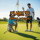 우정골프스포츠 | 컨시드 뜻 매너 골프 용어 오케이와 다른 점