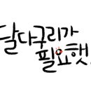 로이드밤 양산신도시점