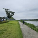 신녕천강변공원 이미지