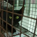 이상윤동물병원 이미지