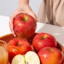 (주)더조은 이미지