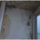 방수1길 | 대구누수 대구 누수방수 피해복구 후기: 신뢰가는 선택