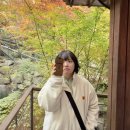 판교화담 - 성남시 분당구 느티로63번길 18 | 내 맘대로 화담숲 후기 11월 초 단풍🍁🍂🍃🌿🌾💐