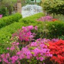 메이하우스 이미지