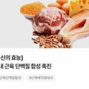 류신 효능 우리 몸에 필요한 단백질 이미지