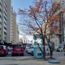 경남부동산114공인중개사사무소 이미지