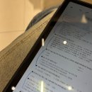 더채움 | 압구정 성형외과 힙딥 필러 더채움 내돈내산 후기