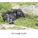소중