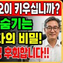 베이킹 소다 = 탄산수소나트륨(NaHCO₃) 이미지