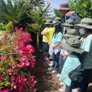 하례초등학교 이미지