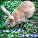 발안주유소 이미지