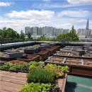 문정2동주민센터 이미지