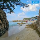 초곡민박 | 삼척 갈남항 아이들 놀기 좋은 해수욕장 스노쿨링 명소 26년 7월 직접 방문한 후기